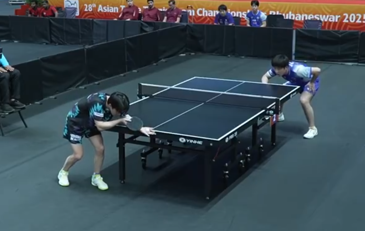 张本智和依, fw 张本智和依, fw